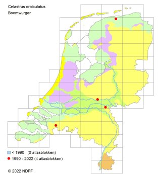 Verspreiding Aziatische Boomwurger over Nederland