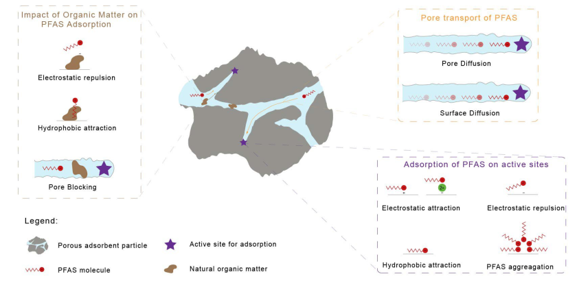 Figure 1. Mechanistic interactions between PFAS and adsorption material that will be studied