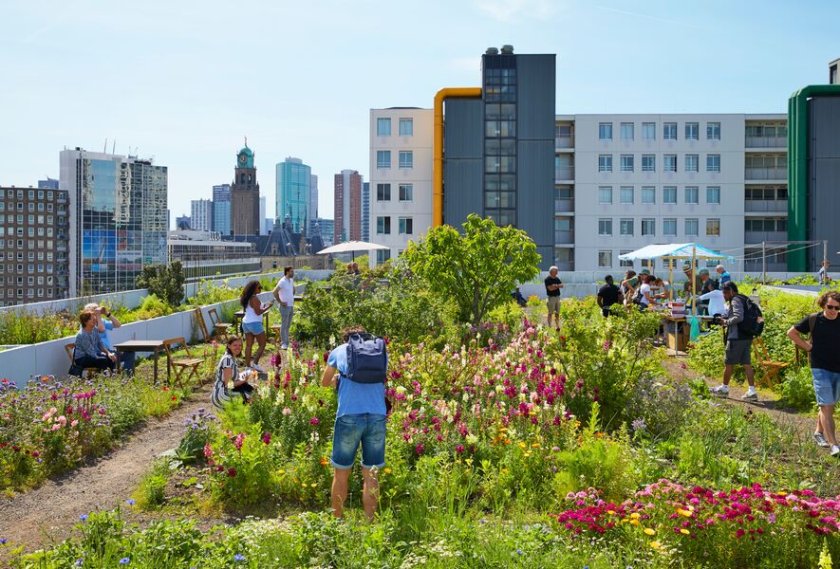 Web 72 DPI-shutterstock_1523657147_NL_Rotterdam_urban_farming_[red].jpg