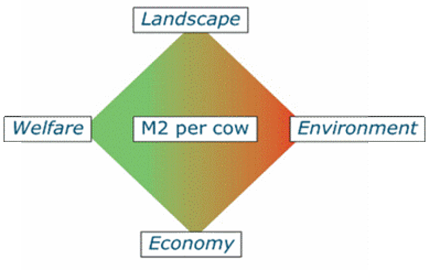 Considerations for building dairy barns