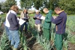 Veldtoetsen met natuurlijke infectie