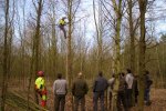 Demonstratie opsnoeien met de Distel snoeiladder. Ergonomisch veel beter dan de stokzaag (Foto Bart Nyssen)