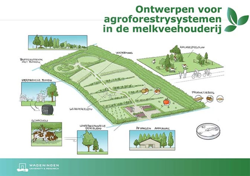 Ontwerpen voor agrofrestrysystemen in de melkveehouderij