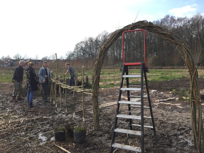 Wilgenworkshop op The Field