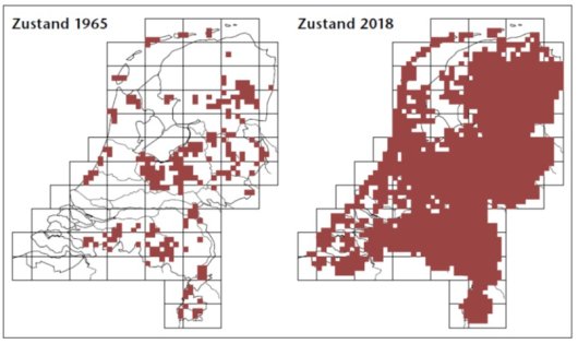 Aanwezigheid van de Amerikaanse vogelkers in 1965 en na en halve eeuw bestrijden in 2018 (Bron NDFF)