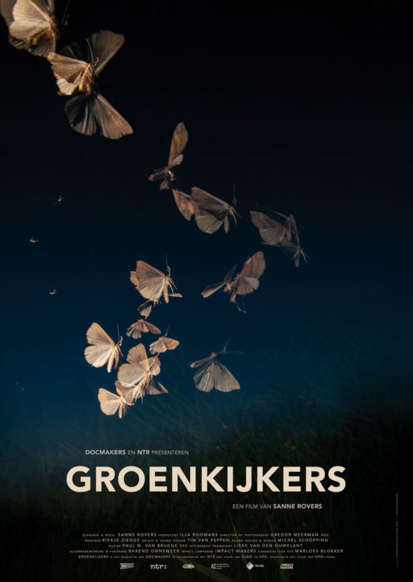 Groenkijkers filmposter