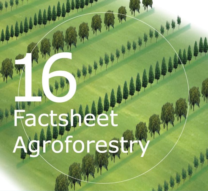 Factsheet Agroforestry 16