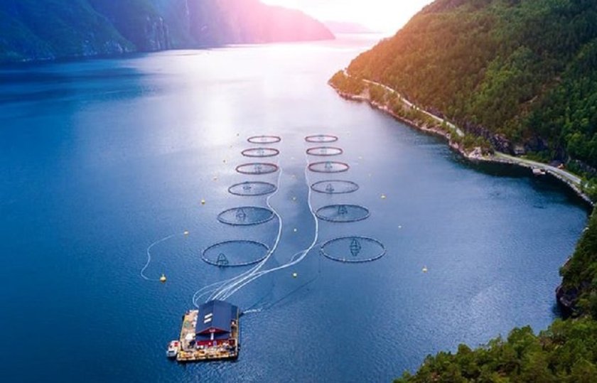 Salmon farming (source Skretting)