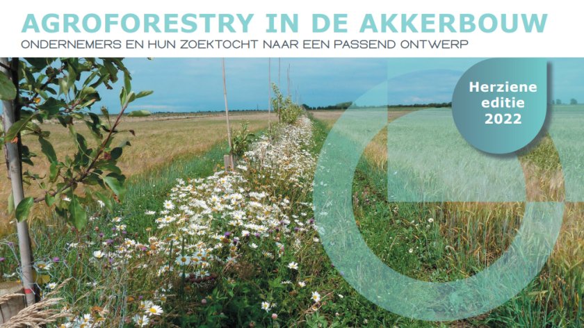 Akkerbouw Agroforestry