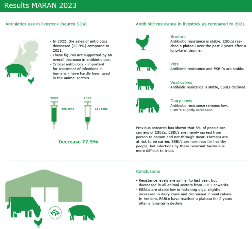 Click on the MARAN 2023 infographic to enlarge