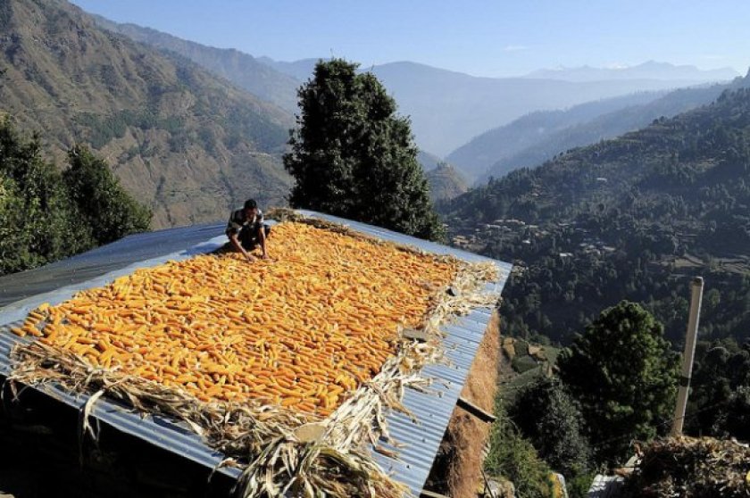 Climate Smart Agriculture in the Himalayas