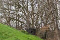 De Grebbelinie in de provincie Utrecht is onderdeel van het NNN. Deze historische verdedigingslinie vormt een belangrijke ecologische verbinding. 